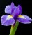 470fee2cde6bff442d142daa17f53c17.jpg